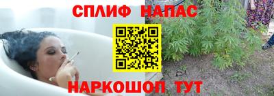 гашик Пугачёв