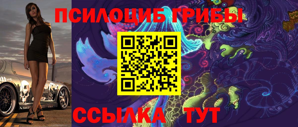 Псилоцибиновые грибы GOLDEN TEACHER Северобайкальск