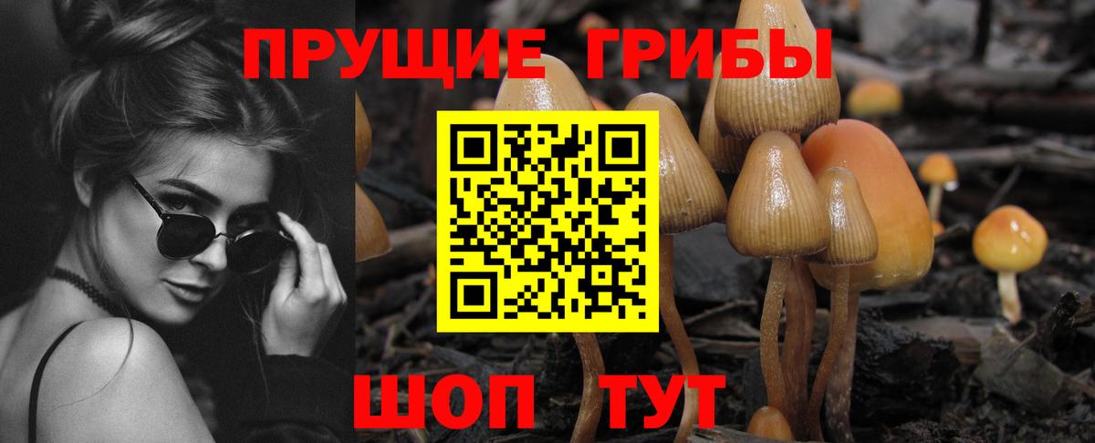 Псилоцибиновые грибы Cubensis  Вход с VPN  закладки  Северобайкальск 
